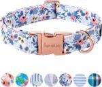 Unique Style Paws Dog Collar With Metal Buckle - Red Rose Flower Gift for Small, Medium, Large Boys Girls Dogs - Durable and Cute - Image 2