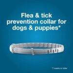Seresto Small Dog Vet-Recommended Flea & Tick Treatment & Prevention Collar for Dogs Under 18 lbs. | 2 Pack - Image 5