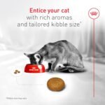 Royal Canin Fussy Dry Cat Food for Adult Cats, Protein-Rich Kibbles for Picky Eaters, Poultry-Based, Supports Healthy Weight and Urinary Health, 7 lb Bag - Image 6