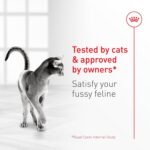 Royal Canin Fussy Dry Cat Food for Adult Cats, Protein-Rich Kibbles for Picky Eaters, Poultry-Based, Supports Healthy Weight and Urinary Health, 7 lb Bag - Image 7