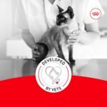 Royal Canin Fussy Dry Cat Food for Adult Cats, Protein-Rich Kibbles for Picky Eaters, Poultry-Based, Supports Healthy Weight and Urinary Health, 7 lb Bag - Image 11