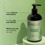 Mielle Organics Rosemary Mint Hair Strengthening Biotin Shampoo - Moisturizing Hair Shampoo for Women and Men to Gently Cleanse, Repair & Protect Strands (12 oz) - Image 4