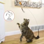 Whiskertons Interactive Bird Simulation Cat Toy Set, Interactive Cat Toys for Indoor Cats, Cat Feather Toy, Self-Holding Suction Base, 5 Replacement Birds, Feathers & Bells, Realistic Bird Impression - Image 4