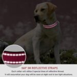 Reflective Dog Collar with Buckle Adjustable Safety Nylon Collars for Small Medium Large Dogs, Pink S - Image 5