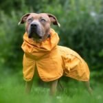 Spark Paws Dog Raincoat, Waterproof Windproof Rain Jacket, for Small Medium Large Extra Large Dogs, Reflective Breathable Full-Body Coverage Dry Suit - Mustard Yellow - 3XL - Image 6