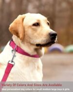 Reflective Dog Collar with Buckle Adjustable Safety Nylon Collars for Small Medium Large Dogs, Pink S - Image 8