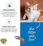 Dr. Elsey's Ultra UnScented Clumping Clay Cat Litter 40 lb. Bag - Image 5