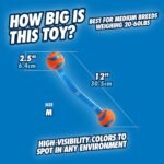 Chuckit! Ultra Duo Tug Dog Toy - Two Ultra Balls on a Durable Nylon Cord Handle - Fetch and Tug-of-War Toy for Dogs - Size Medium - For Breeds 20-60 lbs - 2.5-inch Diameter - Orange and Blue - Image 4