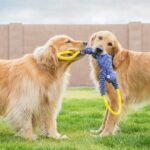 ZippyPaws RopeTugz - Durable Dog Pull Rope Toy, Interactive Tug of War for Large, Medium, & Small Dogs, Squeaky Pet Products to Keep Them Busy, Made with Heavy Duty Climbing Rope - Blue Monkey - Image 3