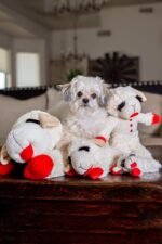 Multipet Lamb Chop 10" (Pack of 3) - Image 4
