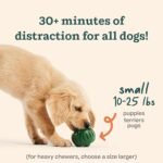 WOOF Pupsicle and Treat Tray - Long-Lasting Interactive Dog Ball Toy and Silicone Dog Treat Mold - Keep Your Pup Busy - Easy to Clean - Dog Toys for Small Dogs 10-25 lbs - Image 5