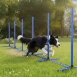 6 Weave Poles or 2 Hurdle Dog Agility Set, Indoor & Outdoor - Image 2