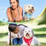 Huhumy 100 Pcs Paw Dog Bandanas Bulk Pet Bibs Colorful Triangle Scarf Paw Pattern Pet Bandanas for Medium Large Dogs Holiday Summer Birthday Costume Decor - Image 7
