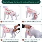 Kuoser Recovery Suit for Dogs Cats, Soft Dog Surgery Suit Female Male Spay | Professional Dog Onesie for Surgery, Substitute E-Collar & Cone, Prevent Licking Dog surgical suit Pet Neuter Suit - Image 5