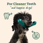 WOOF Bite n' Brush Dog Dental Chew Toy Refills, Chicken, 2 Pack | Dental refill treats, chicken & beef options, oral care ingredients, reusable with Bite n' Brush - Image 8
