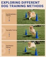 Dog Agility Course Backyard Set, Dog Agility Hurdle Cone Set with Height Adjustable Crossbar for Rehabilitation & Beginners, Dog Agility Equipment for Dog Obstacle Course - 12 Inch - Image 4