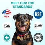 Hemp Calming Chews for Dogs - Dog Calming Chews for Anxiety Relief, Stress, Separation, Fireworks, Thunder, Travel, Vet Visits - USA Product - 120 Soft Treats with Melatonin, Chamomile, Passion Flower - Image 7