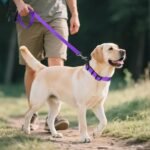 Joytale Reflective Dog Collar, Adjustable Neoprene Padded, Purple L | Breathable Nylon for Large Dogs, No Chafing on Walks and Outdoor Hikes, Tear-Resistant Webbing, Metal D-Ring, Night Safety - Image 7
