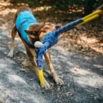 ZippyPaws RopeTugz - Durable Dog Pull Rope Toy, Interactive Tug of War for Large, Medium, & Small Dogs, Squeaky Pet Products to Keep Them Busy, Made with Heavy Duty Climbing Rope - Blue Monkey - Image 4