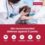 K9 Advantix II XL Dog Vet-Recommended Flea, Tick & Mosquito Treatment & Prevention | Dogs Over 55 lbs. | 6-Mo Supply - Image 6
