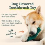 WOOF Bite n' Brush Dog Dental Chew Toy Refills, Chicken, 2 Pack | Dental refill treats, chicken & beef options, oral care ingredients, reusable with Bite n' Brush - Image 6