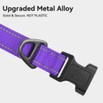 Joytale Reflective Dog Collar, Adjustable Neoprene Padded, Purple L | Breathable Nylon for Large Dogs, No Chafing on Walks and Outdoor Hikes, Tear-Resistant Webbing, Metal D-Ring, Night Safety - Image 4