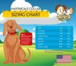 Country Brook Petz - Martingale Dog Collar - Heavy-Duty Training Collar with No Buckle - Service Dog Collar for All Pups - 20 Vibrant Colors (Hot Pink, 1 Inch, Medium) - Image 5