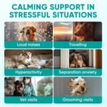 Hemp Calming Chews for Dogs - Dog Calming Chews for Anxiety Relief, Stress, Separation, Fireworks, Thunder, Travel, Vet Visits - USA Product - 120 Soft Treats with Melatonin, Chamomile, Passion Flower - Image 3