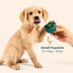 WOOF Pupsicle - Long-Lasting Interactive Dog Ball Toy to Keep Your Pup Busy and Distracted - Safe for Dogs - Low-Mess Design - Dog Toys for Medium and Large Dogs 25-75 lbs - Image 10