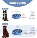 Outward Hound Fun Feeder Slo Bowl – Large 4‑Cup Capacity, Slow Feeding, Medium to Large Dogs, Non‑Slip, Blue, Notch Pattern - Image 6