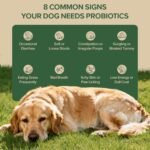 Probiotics for Dogs - Dog Probiotics for Yeast, Itchy Skin and Itchy Ears, Digestive Health, Diarrhea Relief, Gut & Immune Support - with 7 Enzymes, 3 Prebiotics & Omega-3 (Duck 30ct) - Image 7