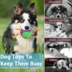 LECHONG 3.5in Squeaky Dog Balls Toys for Training, Dog Toys to Keep Them Busy, High Bouncy Balls for Interactive Playing, Great for Puppy Pet Teething and Chew 4Pcs - Image 4