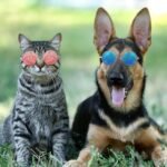 Weewooday 15 Pieces Dog Sunglasses Cat Sunglasses Retro Small Pet Round Metal Glasses Puppy Funny Cosplay Glasses Doll Photo Props Eyewear Costume for Small Medium Dogs - Image 7