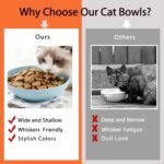 OLULU 10 Pack Cat Bowls, Whisker Friendly Kitten Dishes, Durable Wheat Straw Cat Food Bowls for Indoor Outdoor Cats - Image 6