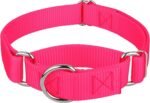 Country Brook Petz - Martingale Dog Collar - Heavy-Duty Training Collar with No Buckle - Service Dog Collar for All Pups - 20 Vibrant Colors (Hot Pink, 1 Inch, Medium) - Image 2