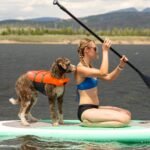 Outward Hound Granby Splash Orange Dog Life Jacket, Medium - Image 9