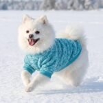 3 Pack Dog Sweaters for Small Dogs Girl Boy Winter Fleece Clothes Warm Soft Dog Sweatshirt Outfit for Dogs Cats Pet Apparel - Image 4