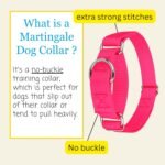 Country Brook Petz - Martingale Dog Collar - Heavy-Duty Training Collar with No Buckle - Service Dog Collar for All Pups - 20 Vibrant Colors (Hot Pink, 1 Inch, Medium) - Image 6