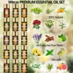 Essential Oils Set - Top 15 Scents for Diffuser, Humidifier, Skin Care, Aromatherapy, Massage, Candle & Soap Making - Fragrance Gift Set (5ml) - Image 3