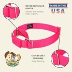 Country Brook Petz - Martingale Dog Collar - Heavy-Duty Training Collar with No Buckle - Service Dog Collar for All Pups - 20 Vibrant Colors (Hot Pink, 1 Inch, Medium) - Image 10