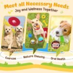 KIPRITII 25 Pack Various Dog Toys Set – Ideal for Teething, Entertainment & Interactive Play, Includes Puppy Toys, Rope Toys, Treat Balls and Squeaky Dog Toys - Image 6
