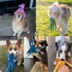 HGB Squeaky Dog Toys - 2 Pack No Stuffing Octopus Crinkle Plush Chew Toys for Puppies Small Medium Large Dogs, Interactive Tug Toys to Keep Dogs Busy - Image 8