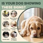 Heartw0rm Prevention for Dogs, Hawthorn & Dandelion Herbal Formula - Image 3