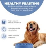 Outward Hound Fun Feeder Slo Bowl – Large 4‑Cup Capacity, Slow Feeding, Medium to Large Dogs, Non‑Slip, Blue, Notch Pattern - Image 3