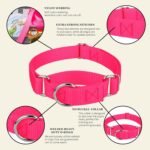 Country Brook Petz - Martingale Dog Collar - Heavy-Duty Training Collar with No Buckle - Service Dog Collar for All Pups - 20 Vibrant Colors (Hot Pink, 1 Inch, Medium) - Image 9