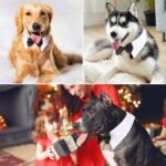 Segarty Dog Tuxedo Collar for Neck Girth 12.6-15.7in, Bow Tie Collar Black Bowtie with Handcrafted Adjustable White Formal Pet Cats Necktie Collars for Medium Large Boy Dog Wedding Grooming Birthday - Image 4
