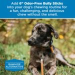 Best Bully Sticks 6 Inch Odor-Free Bully Sticks - 20 Count (Pack of 1) - Bulk Bag, Odorless Natural Grass-Fed Beef, Easily Digestible, No Grain or Rawhide, Ideal for Big Breeds - Image 7