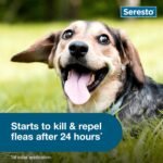 Seresto Small Dog Vet-Recommended Flea & Tick Treatment & Prevention Collar for Dogs Under 18 lbs. | 2 Pack - Image 6