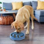 Outward Hound Fun Feeder Slo Bowl – Large 4‑Cup Capacity, Slow Feeding, Medium to Large Dogs, Non‑Slip, Blue, Notch Pattern - Image 7