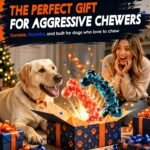 WOWBALA Dog Toys for Aggressive Chewers,Indestructible Dog Chew Toy | Tough Nylon, Not Easy to Bite Break, Long Lasting Fun, Teeth Cleaning for Medium & Large Dogs,2 Pack - Image 9